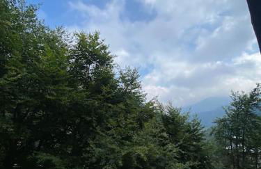 Appartamento sulle piste da Sci - Foto 2