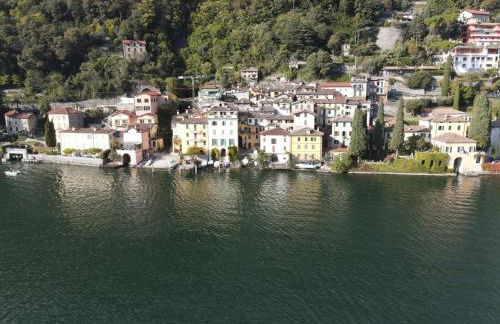 Lugano Lake, nido del cigno - Foto 1