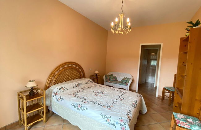 Semi-detached House on a Vineyard, Talais - Foto 6