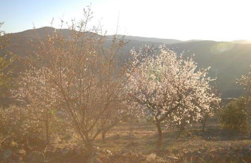 Seven Books House - Foto 34