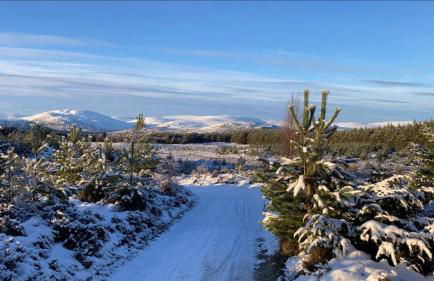 Old School - Foto 10