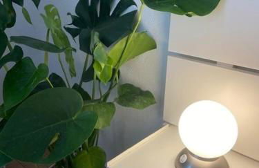 Studio Premium Haguenau cosy, tout équipé, calme, balcon - Photo 31