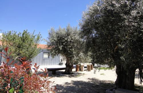 Casas do Mondego - Foto 7