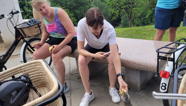 Fazendo novos amigos