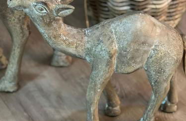 FeWo Storchennest - Foto 8