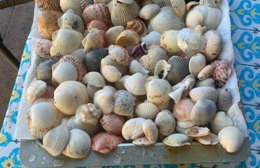 Very Private 3 Bed Home with HEATED Pool Palms and Big Fenced Yard - Foto 19