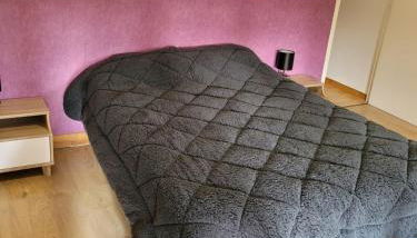 DOMAINE DE POULHARIES -Cinsault - Foto 5