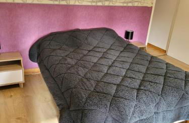 DOMAINE DE POULHARIES -Cinsault - Foto 5