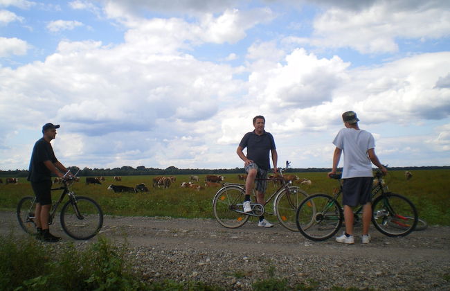 Ethno Village Stara Lonja - Foto 10