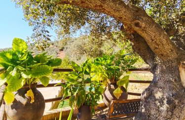 apartamentos turisticos la gitanilla - Foto 10