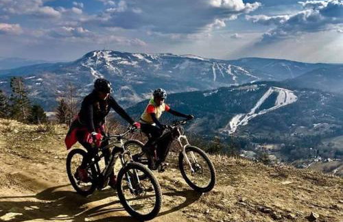 Domek Panorama - Foto 44