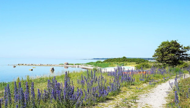 4 Star Holiday Home in Klintehamn - Foto 4, Diversos