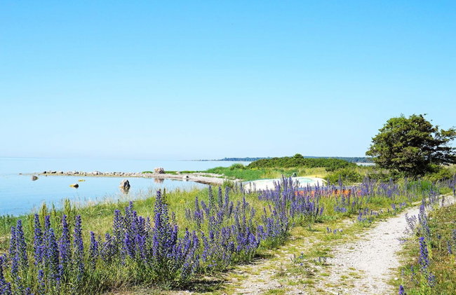 4 Star Holiday Home in Klintehamn - Foto 4