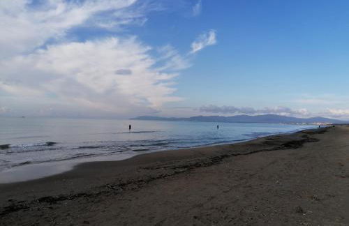 Stella Marina - Foto 20