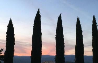 Luberon & Lavandes - Foto 15