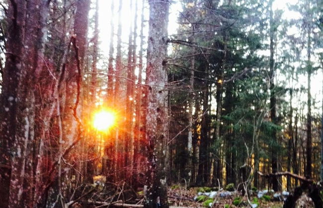 Locanda Alla Stella - Foto 46