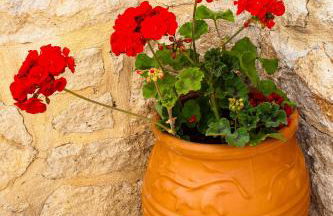 Villa Belair - Photo 17