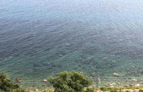 NFACCI o MARI - Foto 15