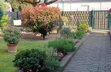 Ferienwohnung Zum Weinberg bis 4 Personen - Im Herzen der Pfalz - Foto 39