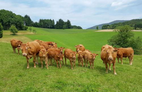 Apartment Schmalzenhof by Interhome - Foto 42