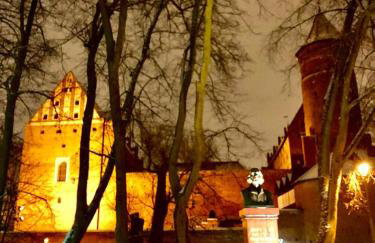 LOFT 57 CENTRUM - Foto 46