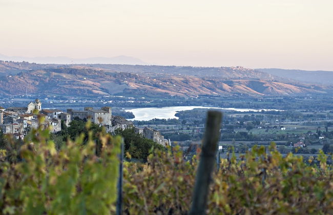 Il Poggio Dell'Artilla - Foto 31