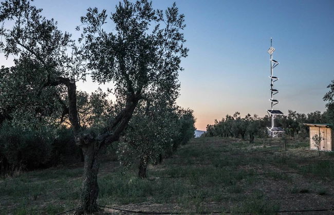 Traldi Resort - Foto 38