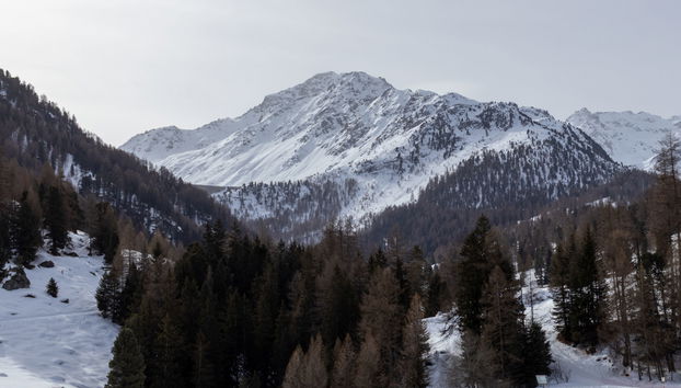 Rosablanche D31 - Photo 3, House