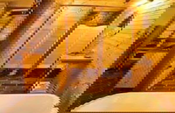 Rainforest Ranch - Photo 6