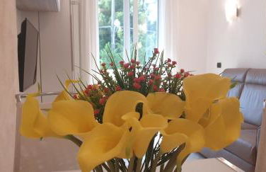 Sweet Dream - Foto 9