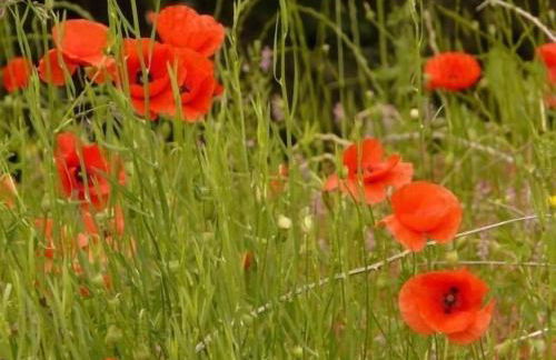 Apartamentos en sierra de gata ALMA - Foto 32