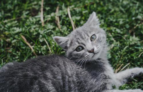 Seeberhof - Urlaub am Bauerhof - Foto 51