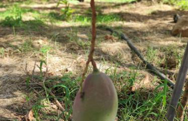 Anatolika Stamatis Paradise - Photo 6