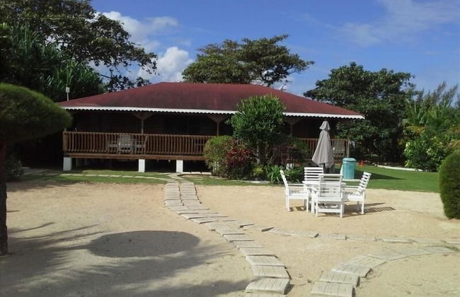 Ocho Rios Villa at The Palms - Foto 58