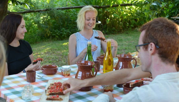 Visita a una plantación de tomates - Foto 2