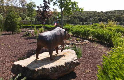 Casas Rurales Laguna La Tinaja - Foto 36