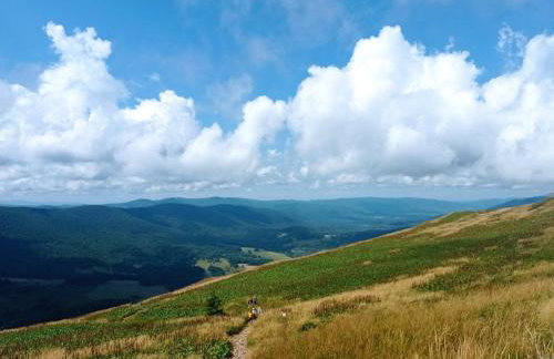 Bieszczadzki Horyzont Apartamenty - Photo 59