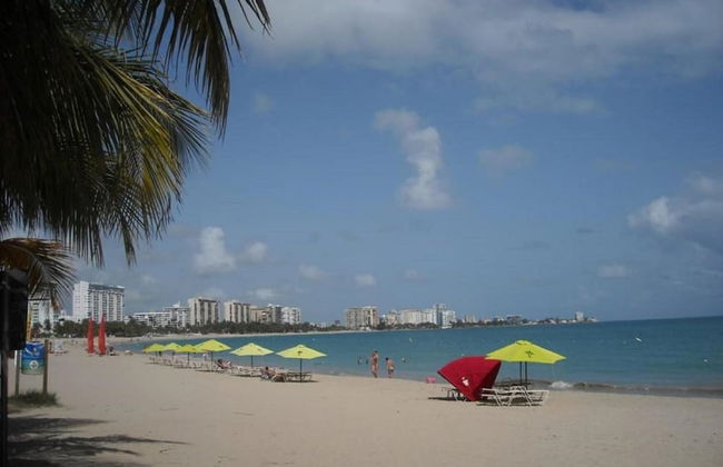 Mare 1562 - Photo 35