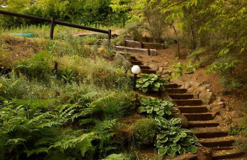 Siedlisko Janopole - Foto 23