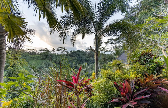 Bidadari Private Villas & Retreat - Photo 61