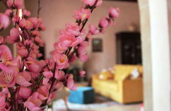 Un Posto al Centro - Foto 22