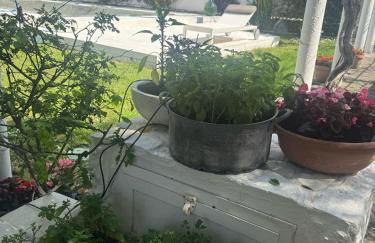 Villa Avvocato Catapano - Photo 59