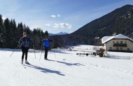 Stacherhof - Photo 31