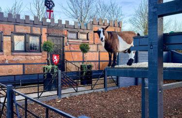 Willow Court Farm, The Copper Castle & Petting Farm, 8 min to Legoland & Windsor, 15 min to Lapland UK - Foto 2