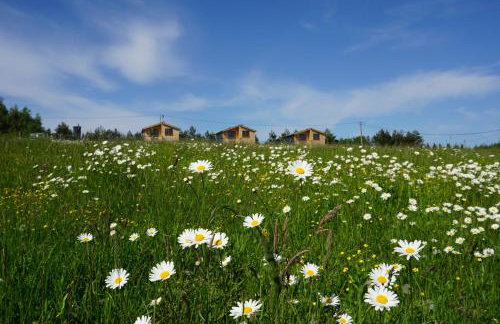 Domki na Łące - Foto 23