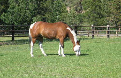 Peaceful Waterfront Log Cabin near Crater Lake National Forest, Oregon - Foto 15