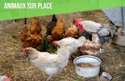 Insolit'appart à la ferme - Foto 25