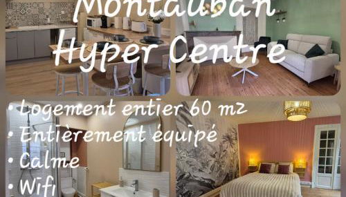 Appartement 60m2 au cœur de Montauban - Foto 2
