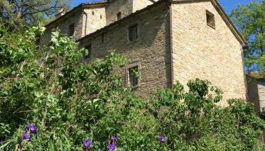 Pieve di Cà Maggiore - Foto 4