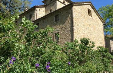 Pieve di Cà Maggiore - Photo 4